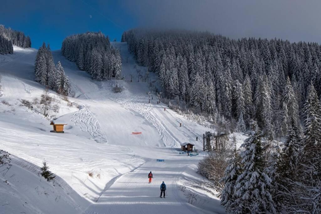 Le Relai S34: Spacious Ski-Side Studio with Mountain Views Saint-Jean-d'Aulps Exterior photo